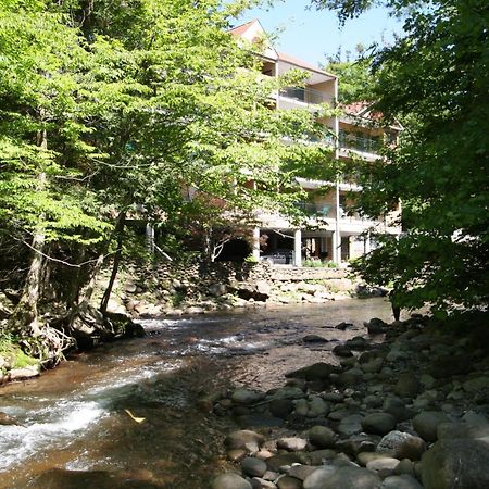 公园广场公寓酒店 蓋特林堡 外观 照片
